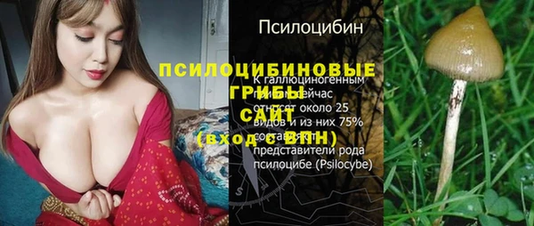 mdpv Балахна